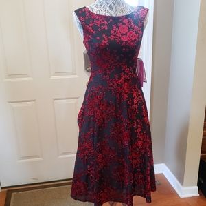 Betsey Johnson- Dress!